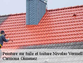 Peinture sur tuile et toiture nivolas-vermelle-38300 Carmona Gimenez
