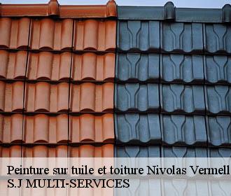 Peinture sur tuile et toiture nivolas-vermelle-38300 S.J MULTI-SERVICES
