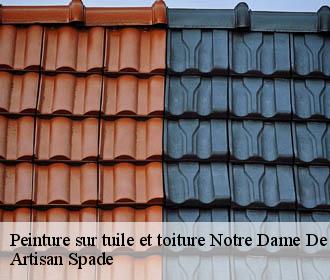 Peinture sur tuile et toiture  notre-dame-de-commiers-38450 Artisan Spade