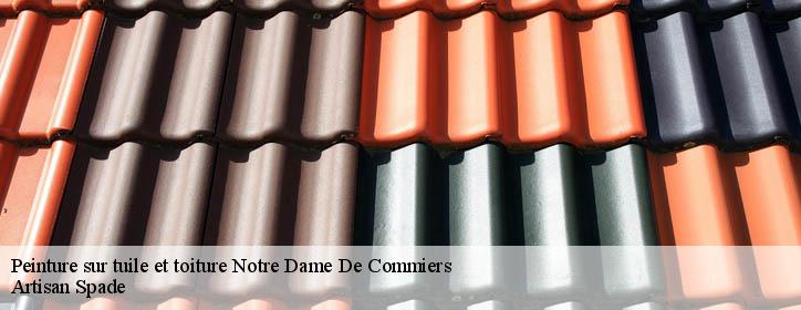 Peinture sur tuile et toiture  38450