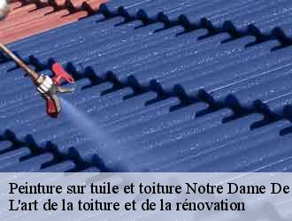 Peinture sur tuile et toiture  notre-dame-de-vaux-38144 L'art de la toiture et de la rénovation