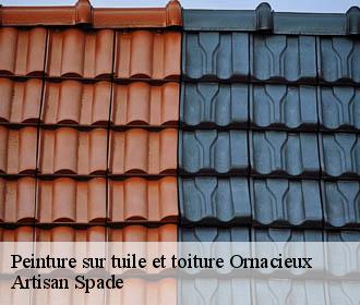 Peinture sur tuile et toiture ornacieux-38260 Artisan Spade