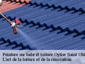 Peinture sur tuile et toiture  oytier-saint-oblas-38780 L'art de la toiture et de la rénovation
