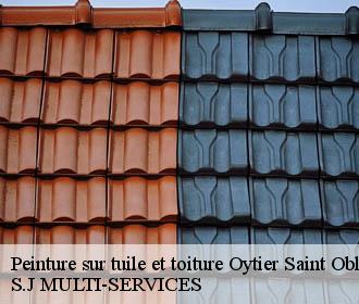 Peinture sur tuile et toiture oytier-saint-oblas-38780 S.J MULTI-SERVICES