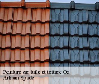 Peinture sur tuile et toiture  oz-38114 Artisan Spade