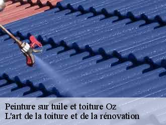 Peinture sur tuile et toiture oz-38114 L'art de la toiture et de la rénovation