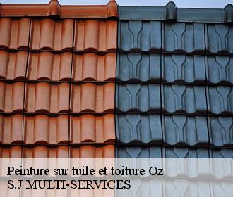Peinture sur tuile et toiture oz-38114 S.J MULTI-SERVICES