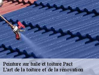 Peinture sur tuile et toiture  pact-38270 L'art de la toiture et de la rénovation