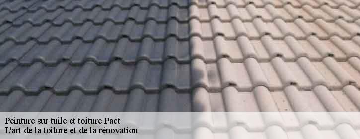Peinture sur tuile et toiture  38270