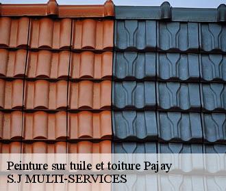 Peinture sur tuile et toiture pajay-38260 S.J MULTI-SERVICES
