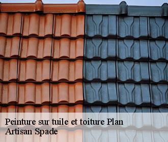 Peinture sur tuile et toiture  plan-38590 Artisan Spade