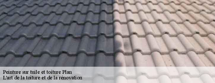 Peinture sur tuile et toiture  38590