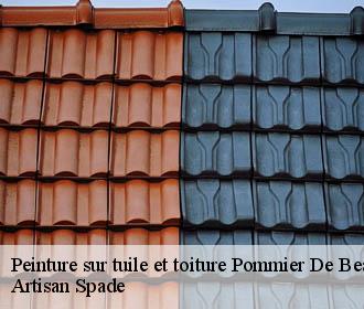 Peinture sur tuile et toiture  pommier-de-beaurepaire-38260 Artisan Spade