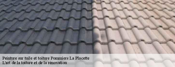 Peinture sur tuile et toiture  38340