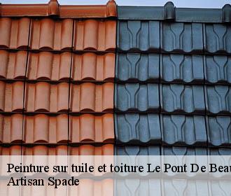 Peinture sur tuile et toiture le-pont-de-beauvoisin-38480 Artisan Spade