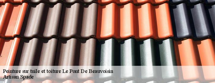 Peinture sur tuile et toiture 38480
