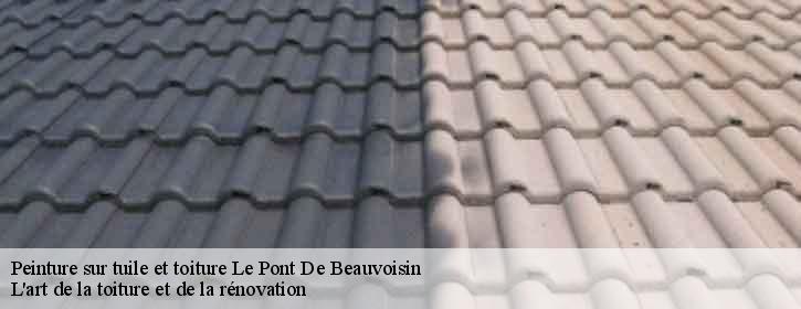 Peinture sur tuile et toiture 38480