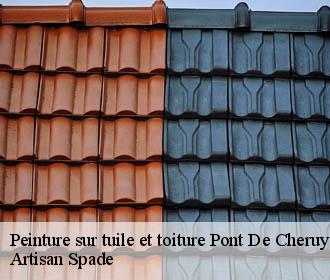 Peinture sur tuile et toiture  pont-de-cheruy-38230 Artisan Spade