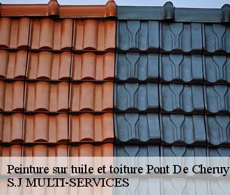 Peinture sur tuile et toiture pont-de-cheruy-38230 S.J MULTI-SERVICES