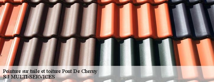 Peinture sur tuile et toiture 38230