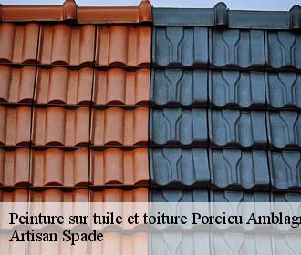 Peinture sur tuile et toiture porcieu-amblagnieu-38390 Artisan Spade