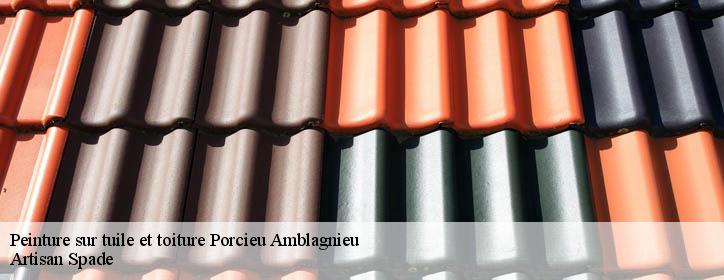 Peinture sur tuile et toiture 38390
