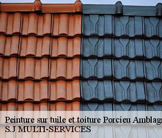 Peinture sur tuile et toiture porcieu-amblagnieu-38390 S.J MULTI-SERVICES