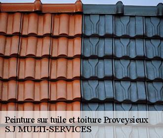 Peinture sur tuile et toiture proveysieux-38120 S.J MULTI-SERVICES