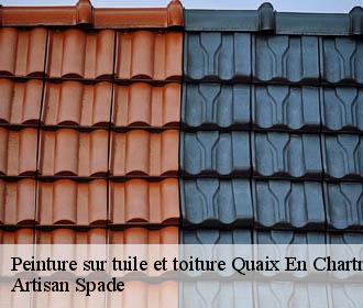 Peinture sur tuile et toiture quaix-en-chartreuse-38950 Artisan Spade