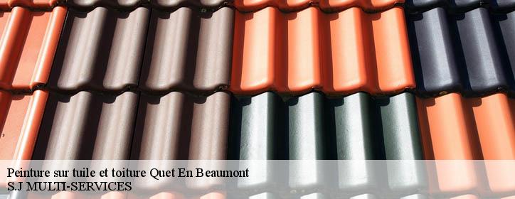 Peinture sur tuile et toiture 38970