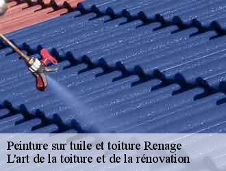Peinture sur tuile et toiture  renage-38140 L'art de la toiture et de la rénovation