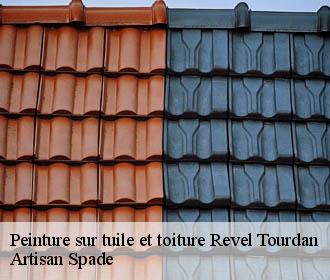 Peinture sur tuile et toiture revel-tourdan-38270 Artisan Spade