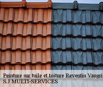 Peinture sur tuile et toiture  reventin-vaugris-38121 S.J MULTI-SERVICES