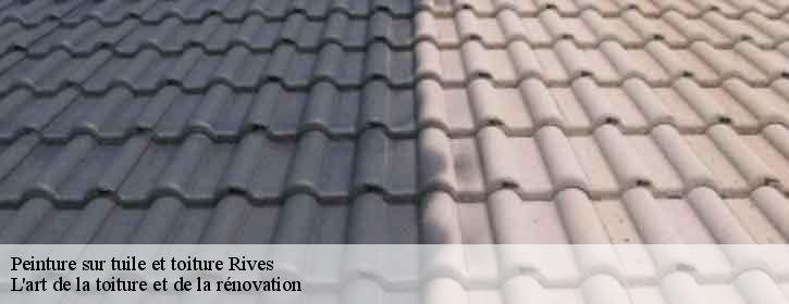 Peinture sur tuile et toiture  38140