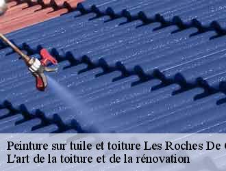 Peinture sur tuile et toiture  les-roches-de-condrieu-38370 L'art de la toiture et de la rénovation