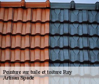Peinture sur tuile et toiture  ruy-38300 Artisan Spade