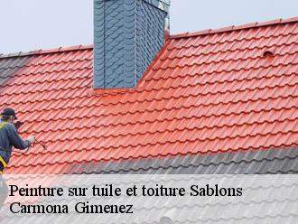 Peinture sur tuile et toiture sablons-38550 Carmona Gimenez