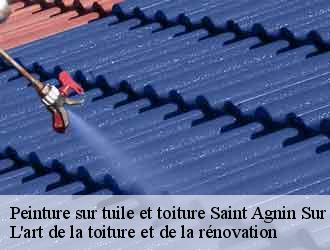 Peinture sur tuile et toiture saint-agnin-sur-bion-38300 L'art de la toiture et de la rénovation