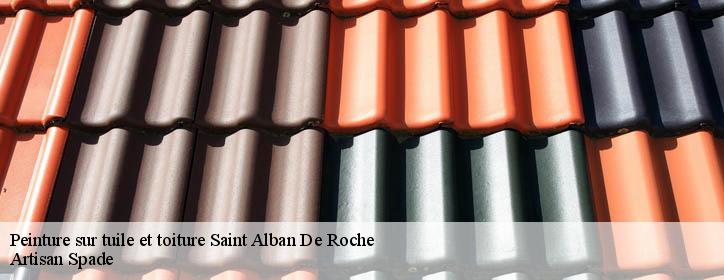 Peinture sur tuile et toiture 38300