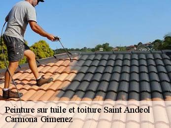 Peinture sur tuile et toiture 38650