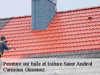 Peinture sur tuile et toiture  saint-andeol-38650 Couvreur Payen