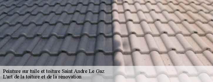 Peinture sur tuile et toiture  38490