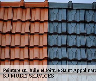 Peinture sur tuile et toiture saint-appolinard-38160 S.J MULTI-SERVICES