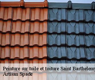 Peinture sur tuile et toiture saint-barthelemy-de-sechilie-38220 Artisan Spade