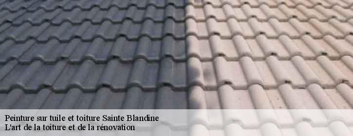 Peinture sur tuile et toiture  38110