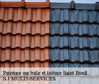 Peinture sur tuile et toiture saint-bueil-38620 S.J MULTI-SERVICES