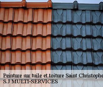 Peinture sur tuile et toiture saint-christophe-sur-guiers-38380 S.J MULTI-SERVICES