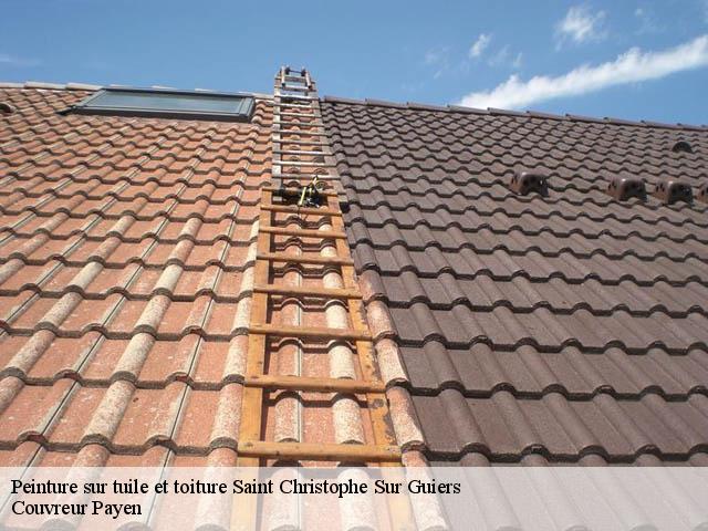 Peinture sur tuile et toiture  saint-christophe-sur-guiers-38380 Couvreur Payen