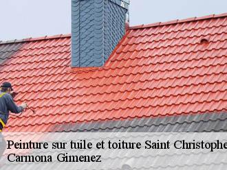 Peinture sur tuile et toiture  saint-christophe-sur-guiers-38380 Couvreur Payen