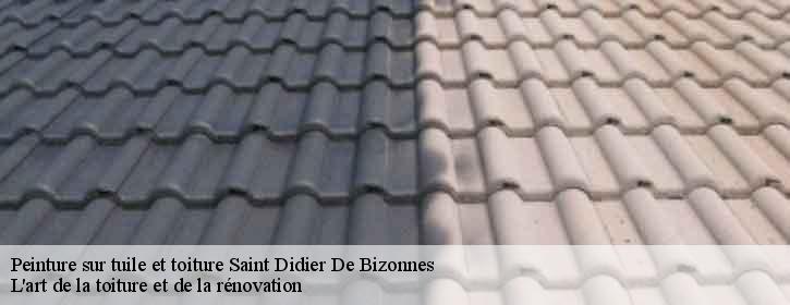 Peinture sur tuile et toiture  38690